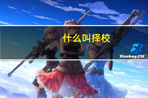 什么叫择校