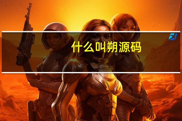 什么叫朔源码