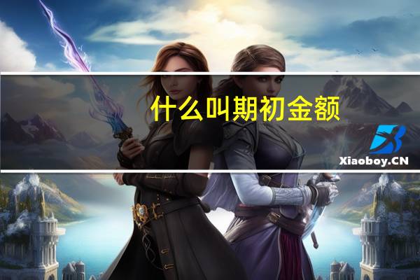 什么叫期初金额