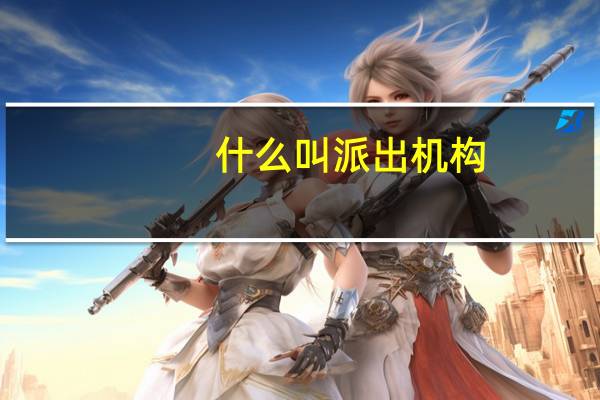 什么叫派出机构