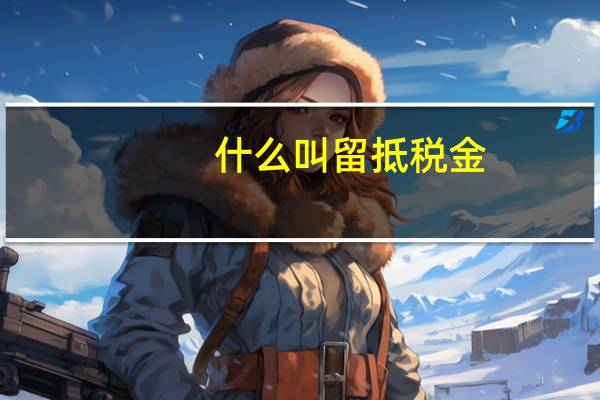 什么叫留抵税金