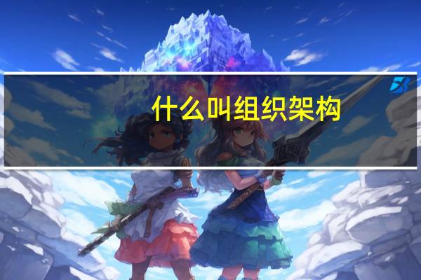 什么叫组织架构
