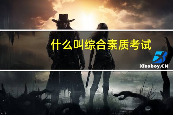 什么叫综合素质考试