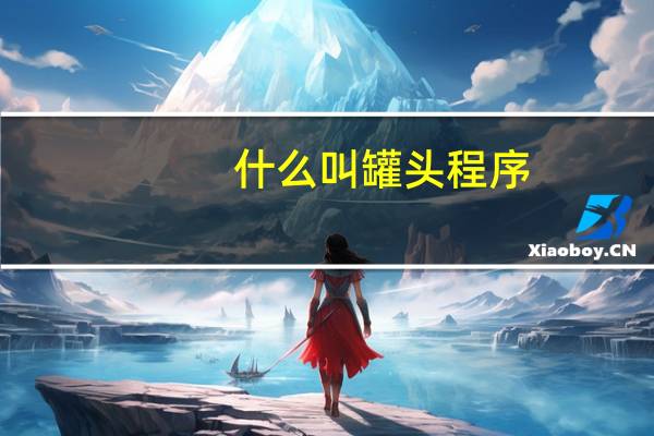什么叫罐头程序