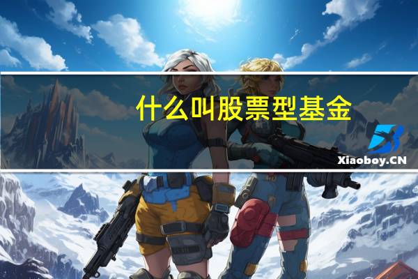 什么叫股票型基金