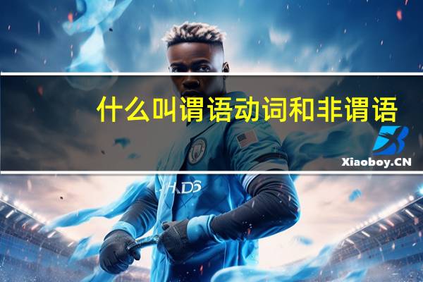 什么叫谓语动词和非谓语