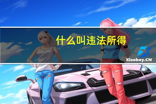 什么叫违法所得