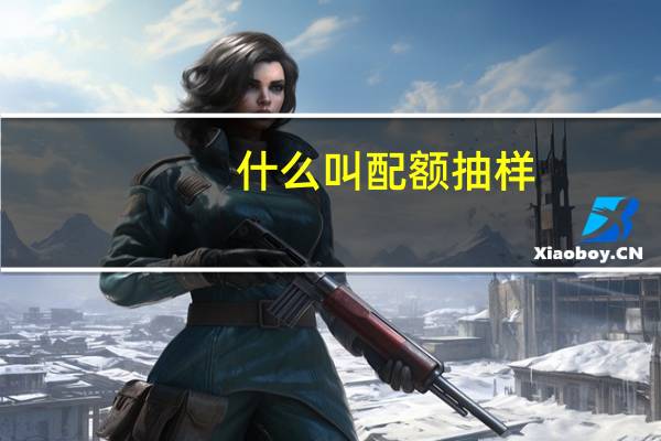 什么叫配额抽样