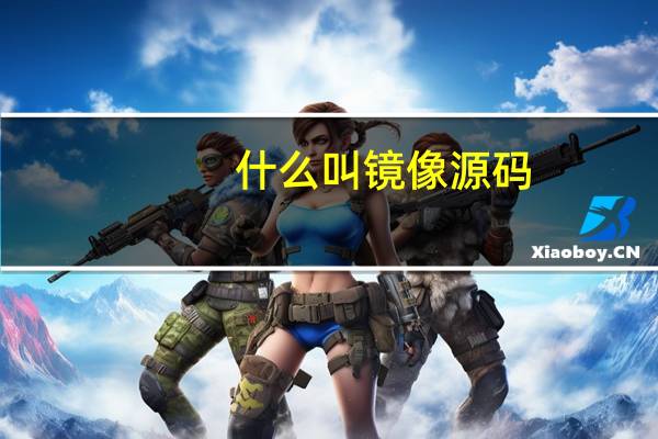 什么叫镜像源码
