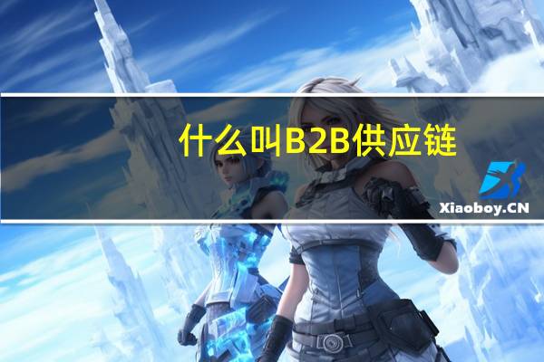什么叫B2B供应链