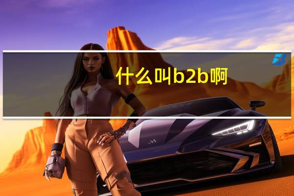什么叫b2b啊