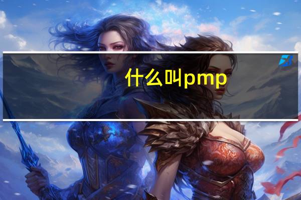 什么叫pmp