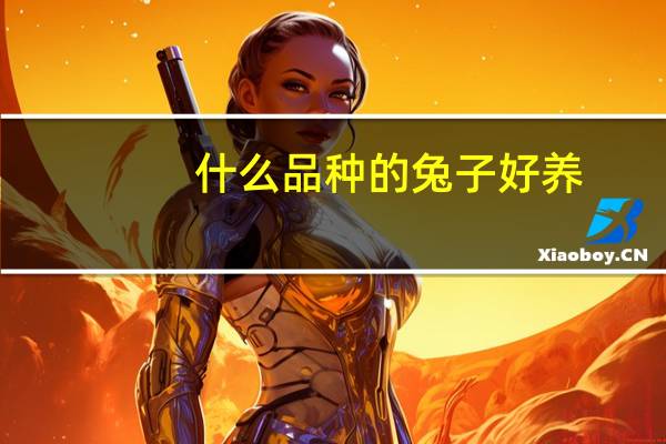 什么品种的兔子好养