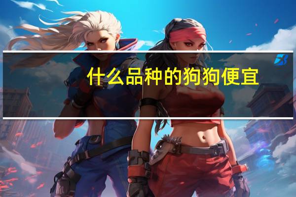什么品种的狗狗便宜