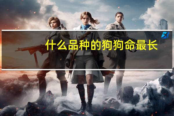 什么品种的狗狗命最长