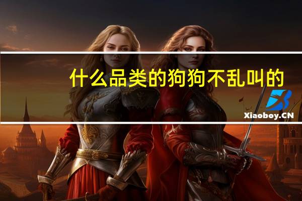 什么品类的狗狗不乱叫的