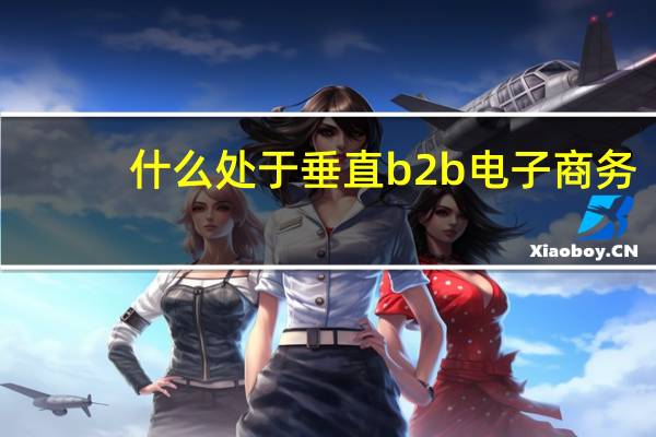 什么处于垂直b2b电子商务