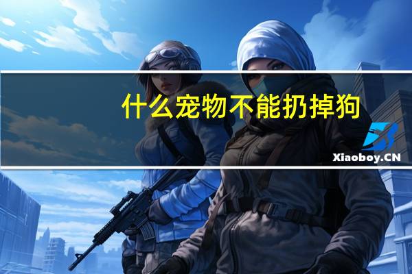 什么宠物不能扔掉狗