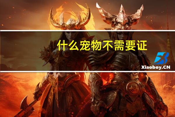 什么宠物不需要证