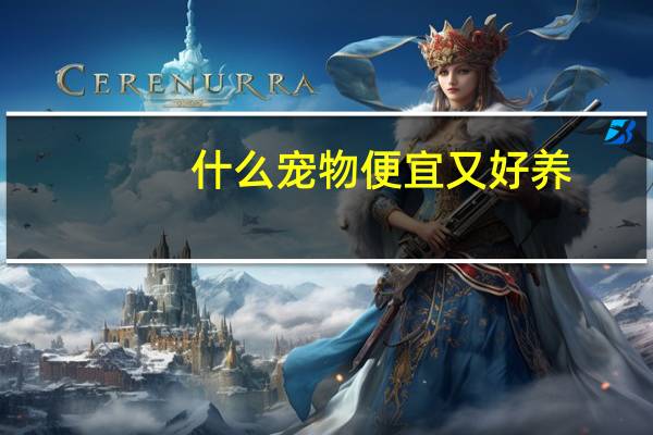 什么宠物便宜又好养