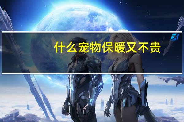 什么宠物保暖又不贵