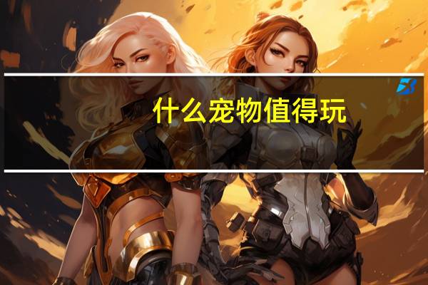 什么宠物值得玩