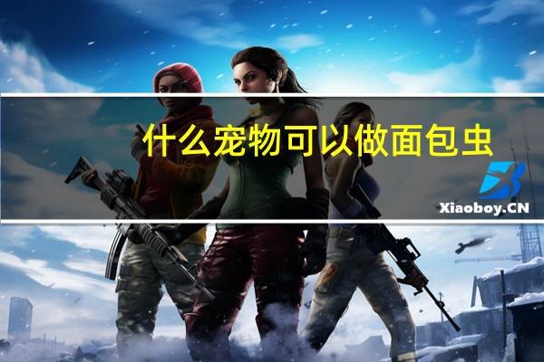 什么宠物可以做面包虫