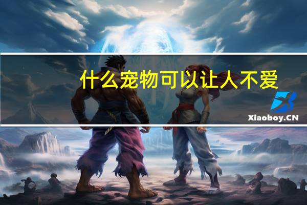 什么宠物可以让人不爱