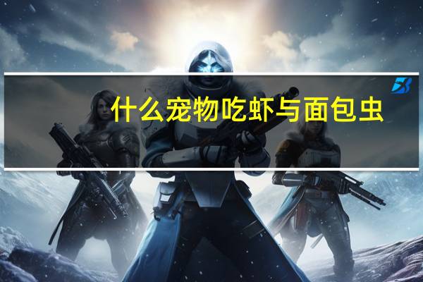 什么宠物吃虾与面包虫