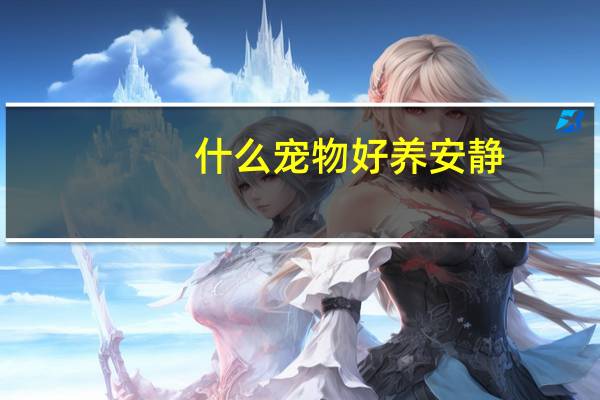 什么宠物好养安静