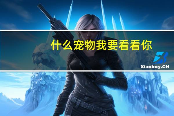 什么宠物我要看看你