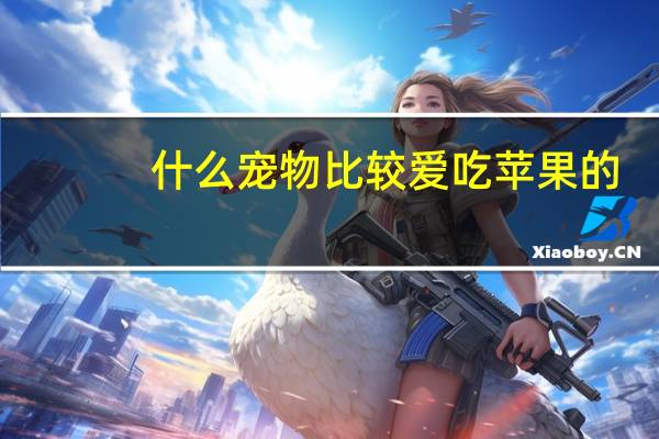 什么宠物比较爱吃苹果的