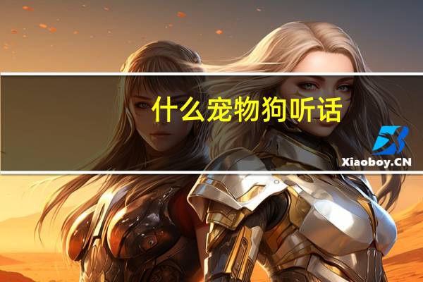 什么宠物狗听话