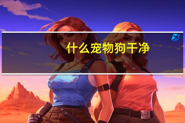 什么宠物狗干净