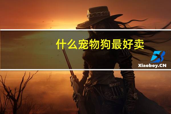 什么宠物狗最好卖