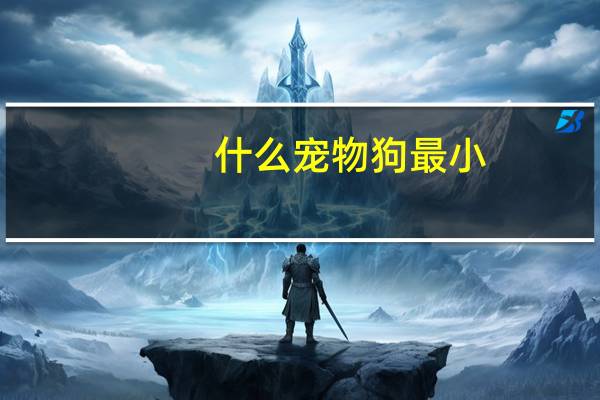 什么宠物狗最小