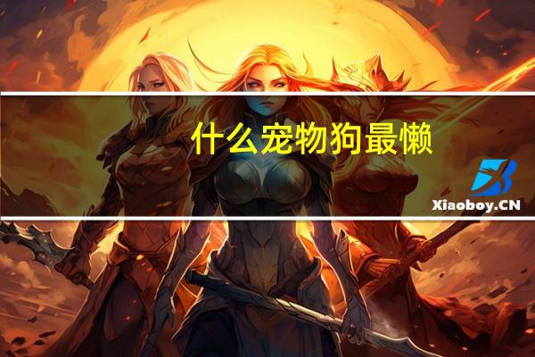 什么宠物狗最懒