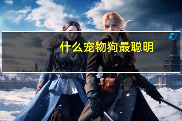 什么宠物狗最聪明