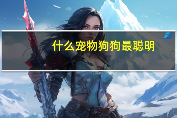 什么宠物狗狗最聪明