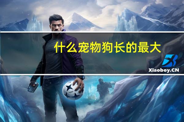 什么宠物狗长的最大