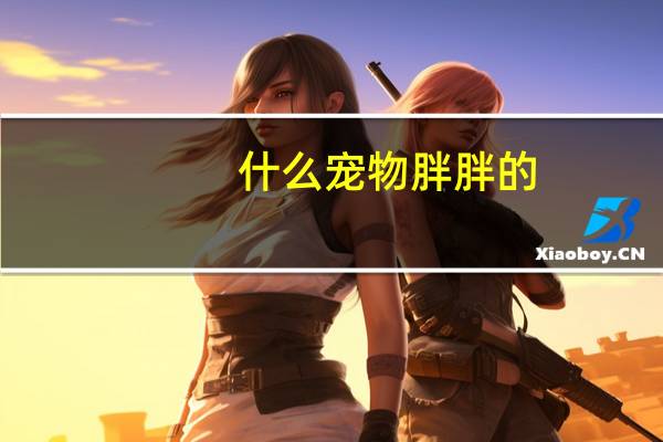 什么宠物胖胖的