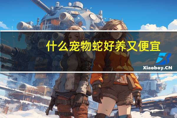 什么宠物蛇好养又便宜