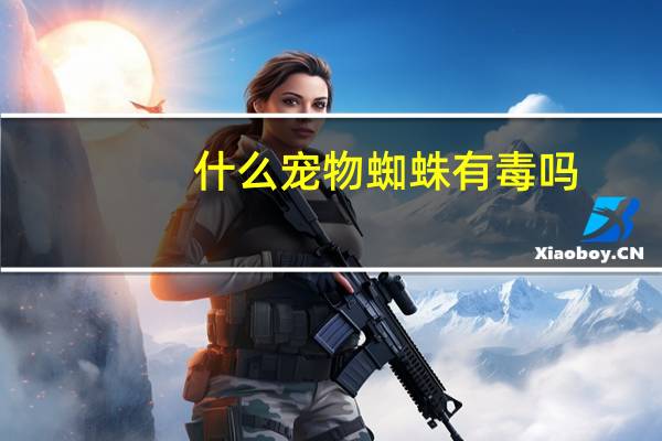 什么宠物蜘蛛有毒吗