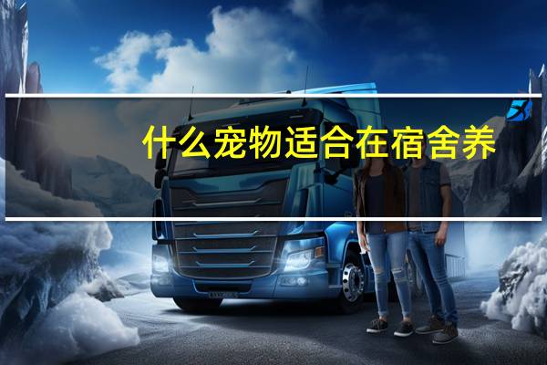 什么宠物适合在宿舍养