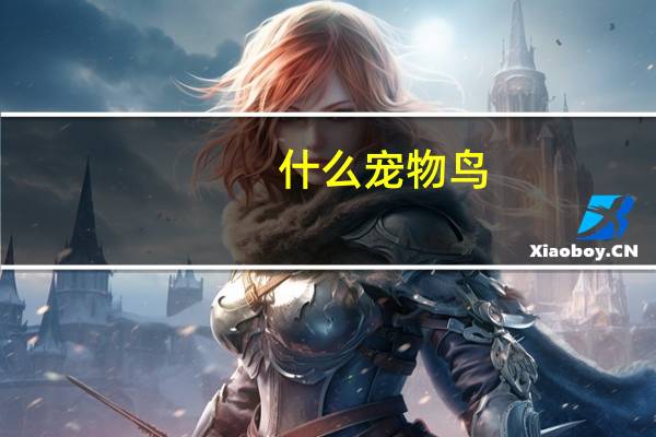 什么宠物鸟