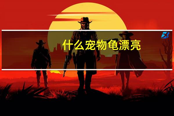 什么宠物龟漂亮