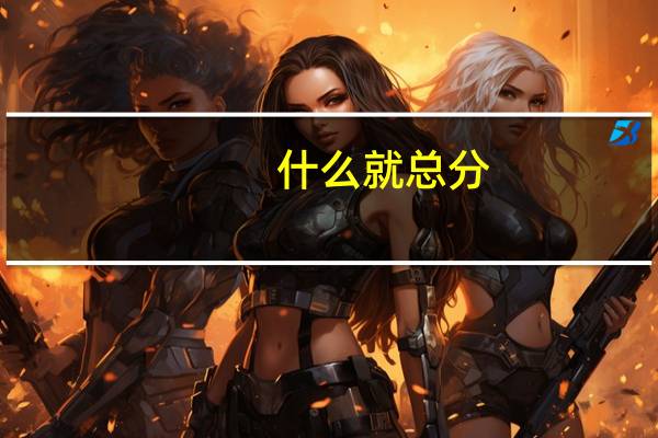 什么就总分