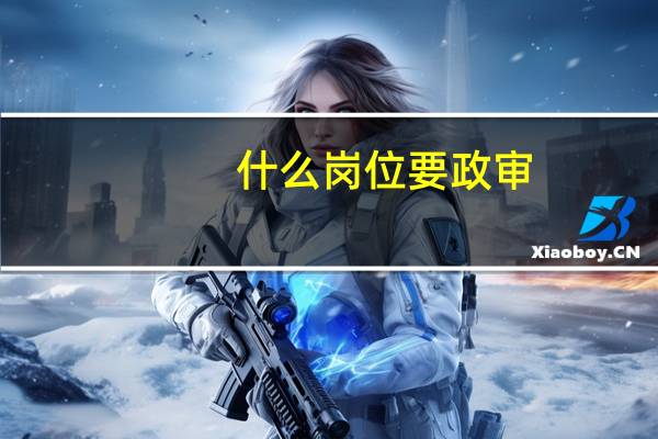 什么岗位要政审