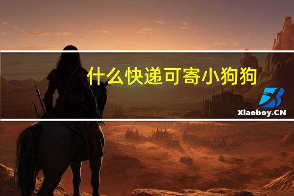 什么快递可寄小狗狗