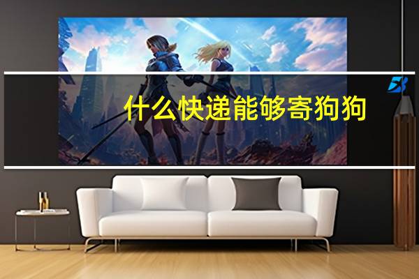 什么快递能够寄狗狗